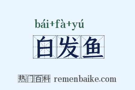 白发鱼是什么意思的图片